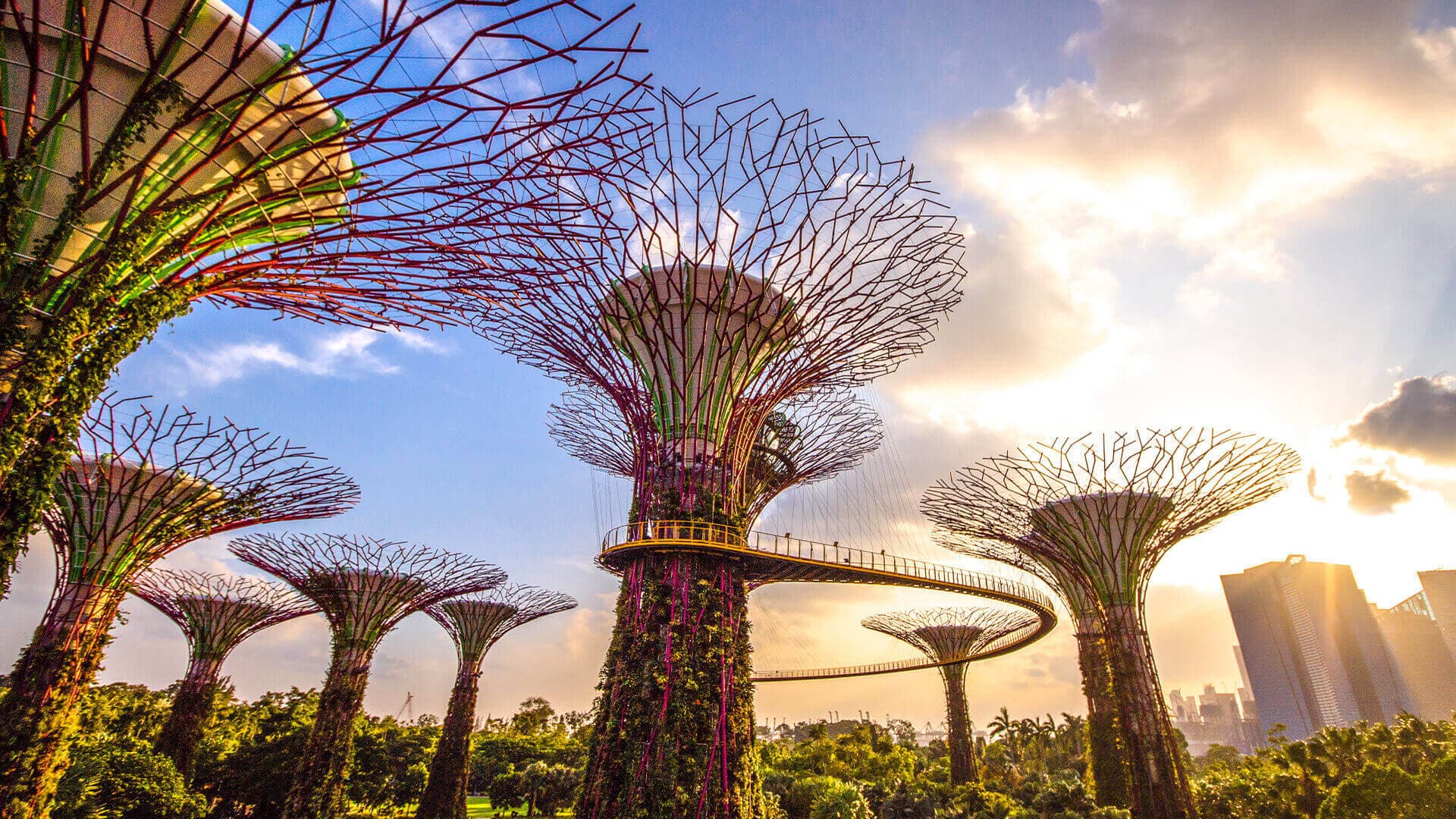 7 Best Attraction & Theme Park Deals in Singapore 2026 — Singapore Tourist Attraction Ticket Prices & Resident Rates for USS, Oceanarium, Mandai, Gardens by the Bay & Wild Wild Wet