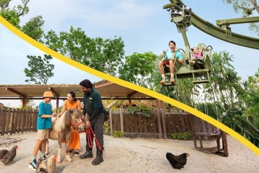 Mandai Kids Enter Free: Singapore Zoo $44 and Rainforest Wild Adventure $50 for 1 Adult + 1 Child, Book by 4 Oct 2026