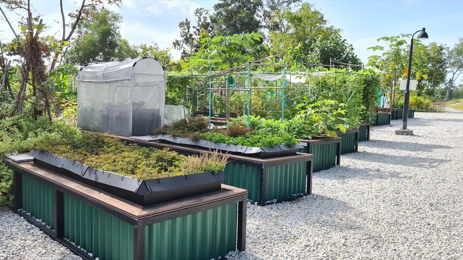 NParks Allotment Garden Plots: Ballot Opens 20 Oct to 2 Nov 2026, $65.40 a Year at 13 Parks