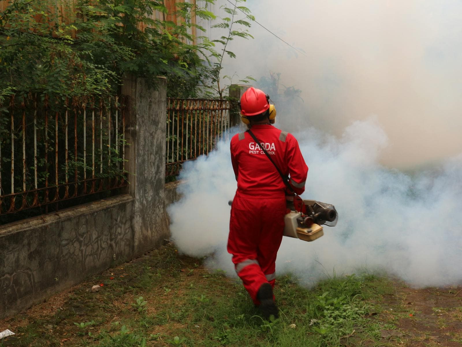 5 Best Pest Control Services in Singapore (2026) — From Rentokil to Aardwolf & Killem Compared