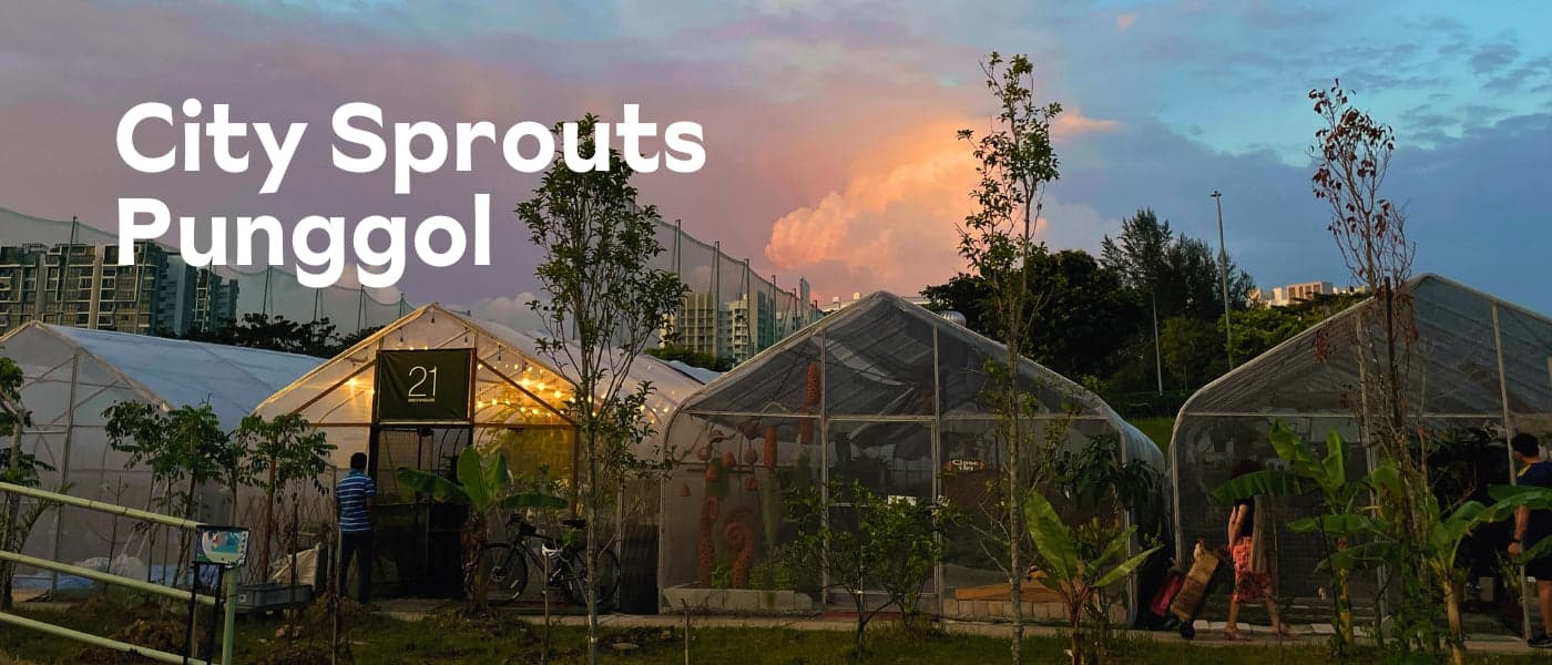 Punggol East Container Park Closes by 1 November 2026: Which Stalls Go First, and How Long You Actually Have