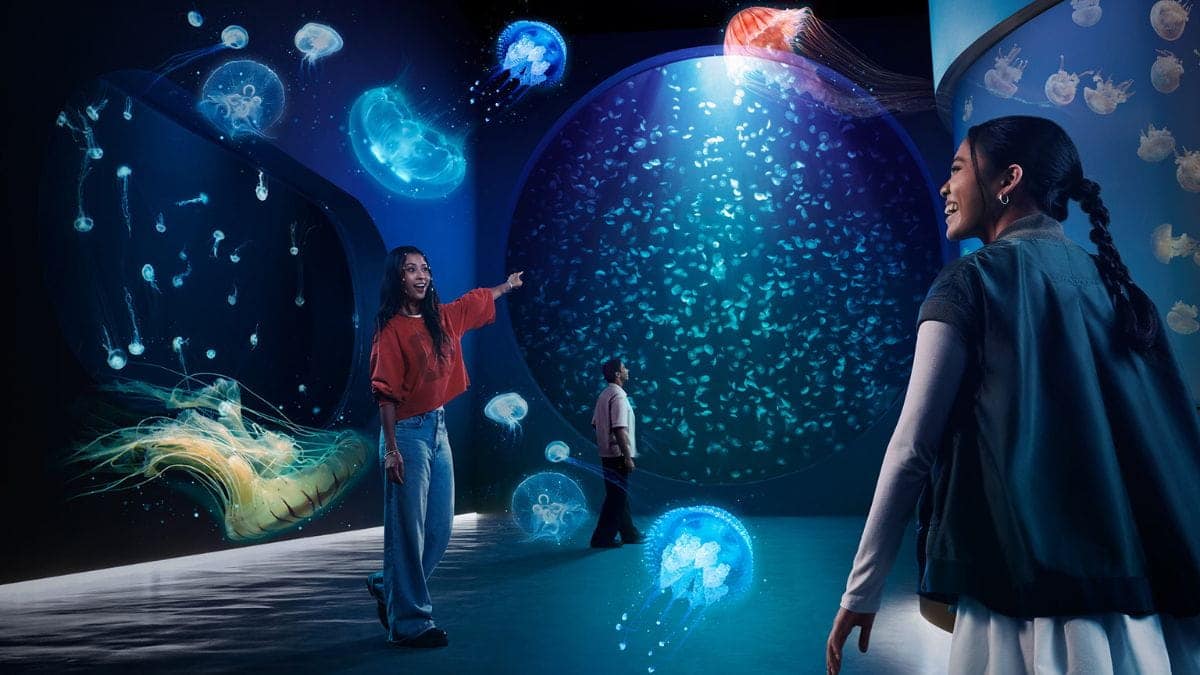 Singapore Oceanarium's 1st-Anniversary Buy 2 Get 1 FREE for SG Residents: 3 One-Day Tickets From S$110 (~S$36.67 Each) Till 30 Sep — But ALL THREE of You Must Be Singapore Residents, and You Cannot Buy It on the Day You Go