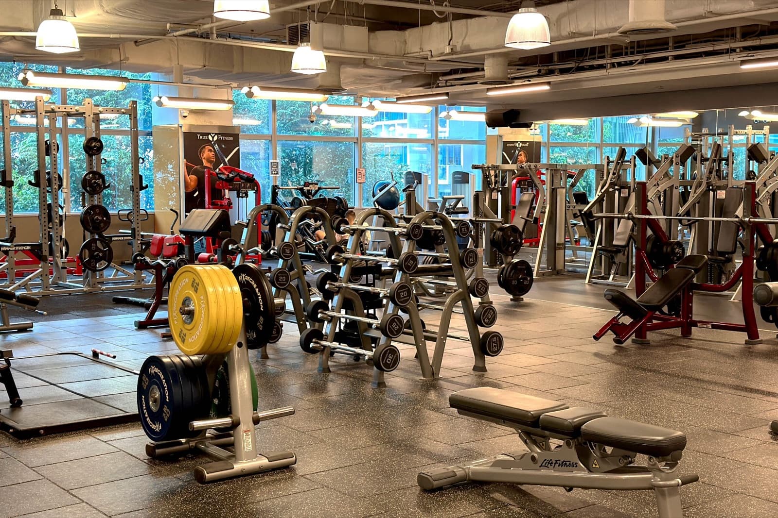 True Fitness and True Yoga Are Closing in Singapore: What Members Can Do Now