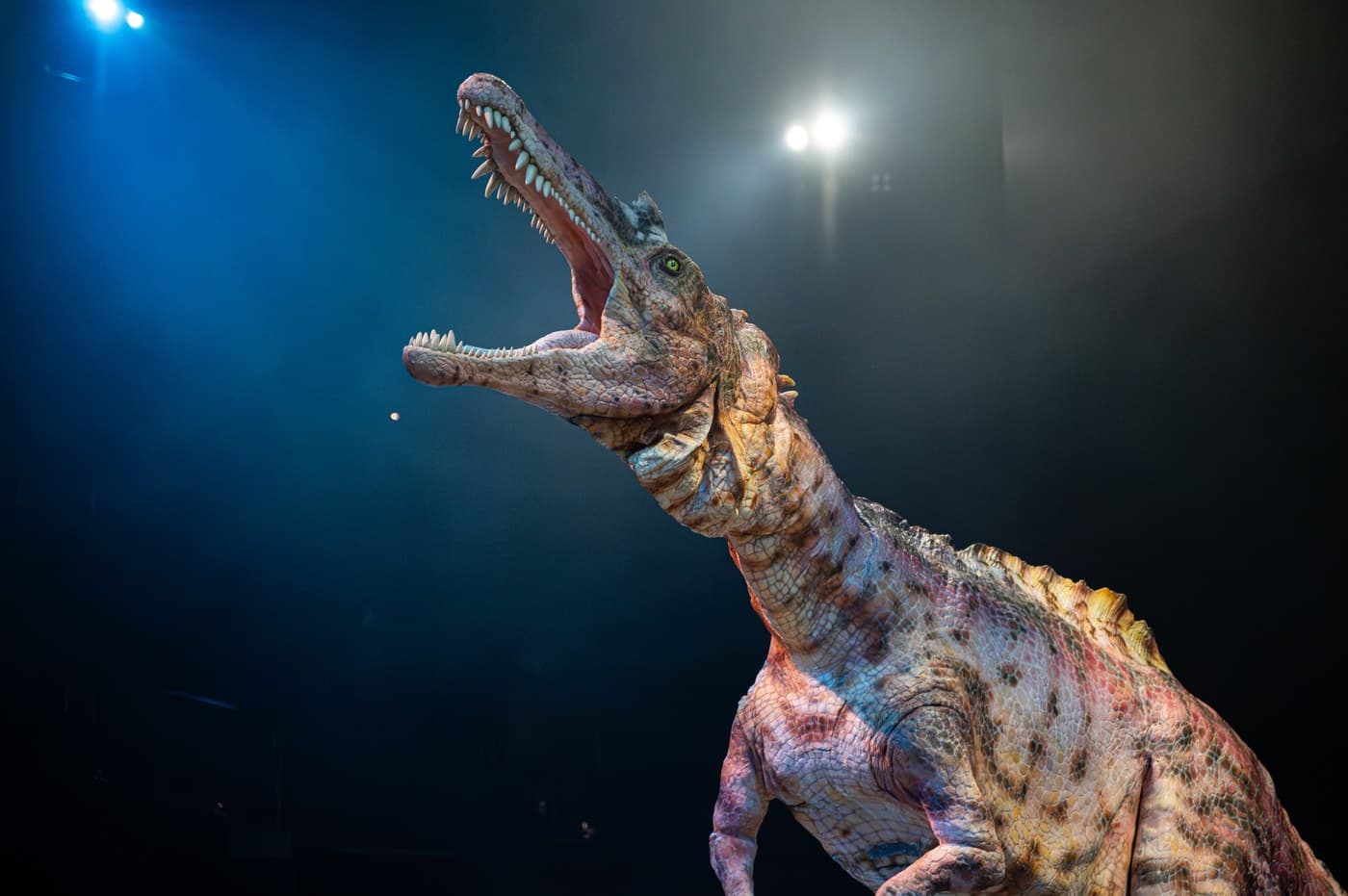 DINOSAUR ODYSSEY show scene: a life-sized Tyrannosaurus Rex on stage with dramatic lighting, performing close to the audience.