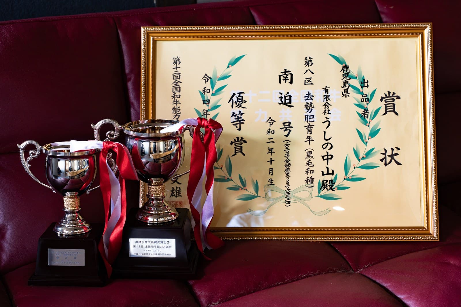 Two silver trophies with red-and-white ribbon decorations sit in front of a Japanese award certificate framed in gold. The certificate is hand-calligraphed in vertical Japanese characters and references Kagoshima Prefecture (鹿児島県) + Nakayama (中山) producer name, dating from Reiwa era. Background is rich red leather upholstery.