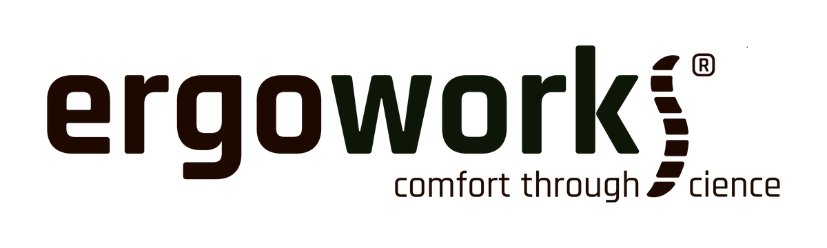 Ergoworks: Try Every Price Tier at Marina Square logo