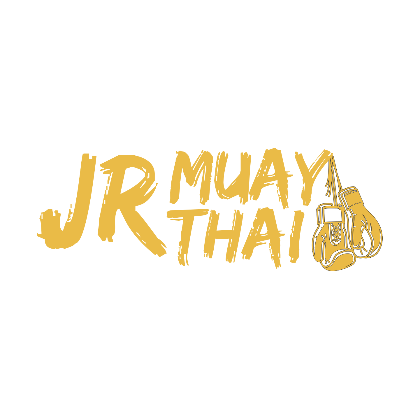 JR Muay Thai — Six Outlets, but the $25 Trial Everyone Quotes Only Applies at Three of Them logo