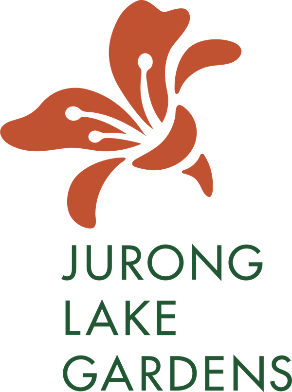 Lights by the Lake, Jurong Lake Gardens: the Legend of the White Snake, and lanterns still lit a week after everyone says it ends logo