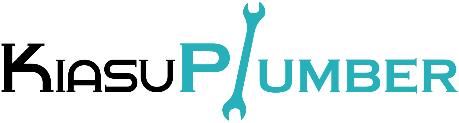 Kiasu Plumber: cheapest published plumbing, toilet choke from S$80 logo
