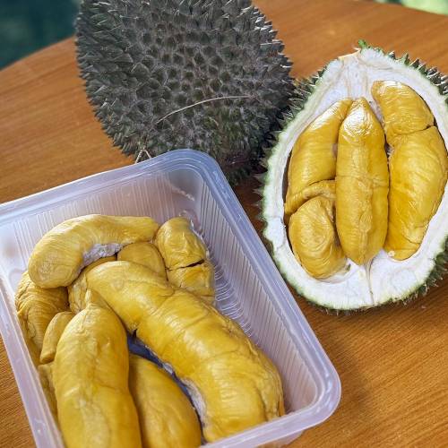 99 Old Trees — Premium Old-Tree MSW (750g Boxes) + Durian Parties