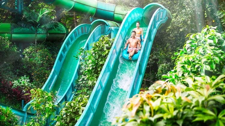 Adventure Cove Waterpark: Adult S$34, and a Free After-Dark Murder Mystery on Five October Saturdays