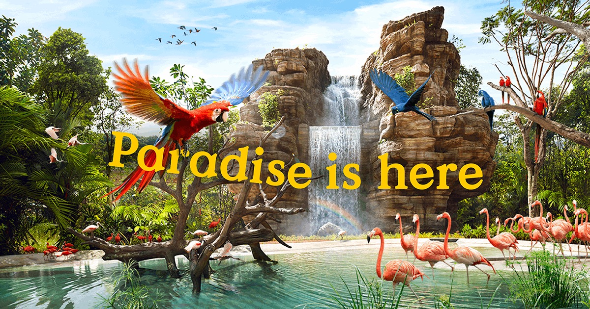 Bird Paradise 飞禽公园(Mandai)— 居民价成人 $39 / 儿童 $27 + 免费 WildPass 折扣