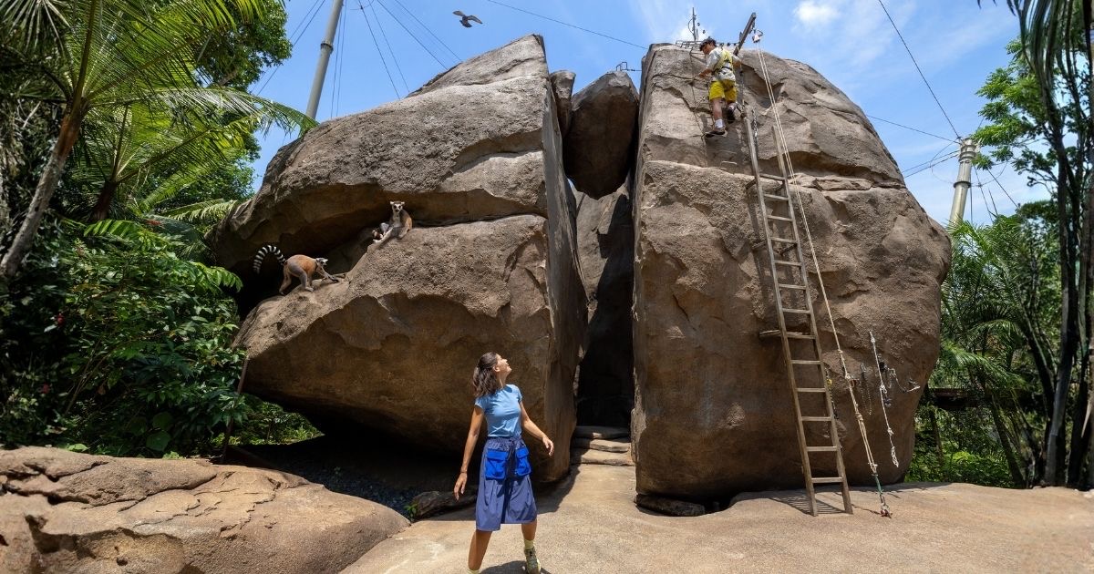 Rainforest Wild Asia(Mandai)— 最新园区:居民价 $50 / $35 含 Adventure+ 活动
