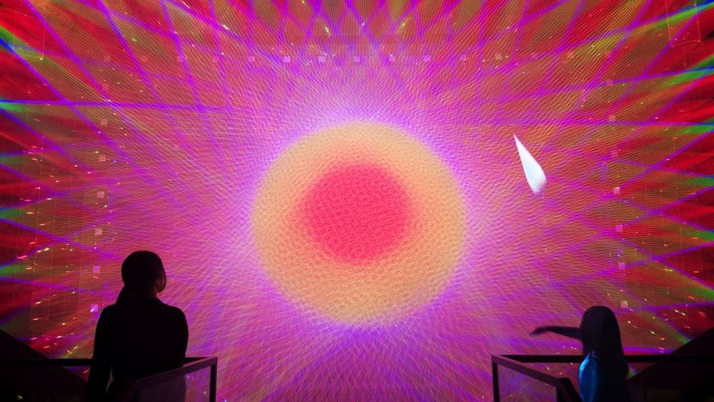艺术科学博物馆: 单展 $16.50 起, 星期五可免费带 4 名孩童