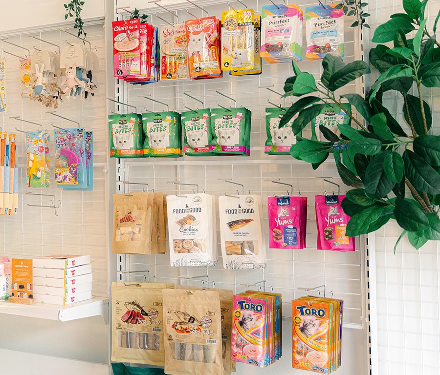 Neko Neko: cat-only shop, order online and pick up in Serangoon