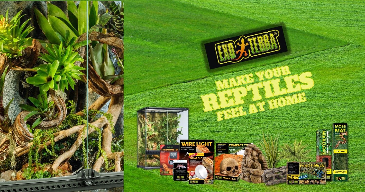 Petmart: the fish, reptile and small-pet specialist since 1988
