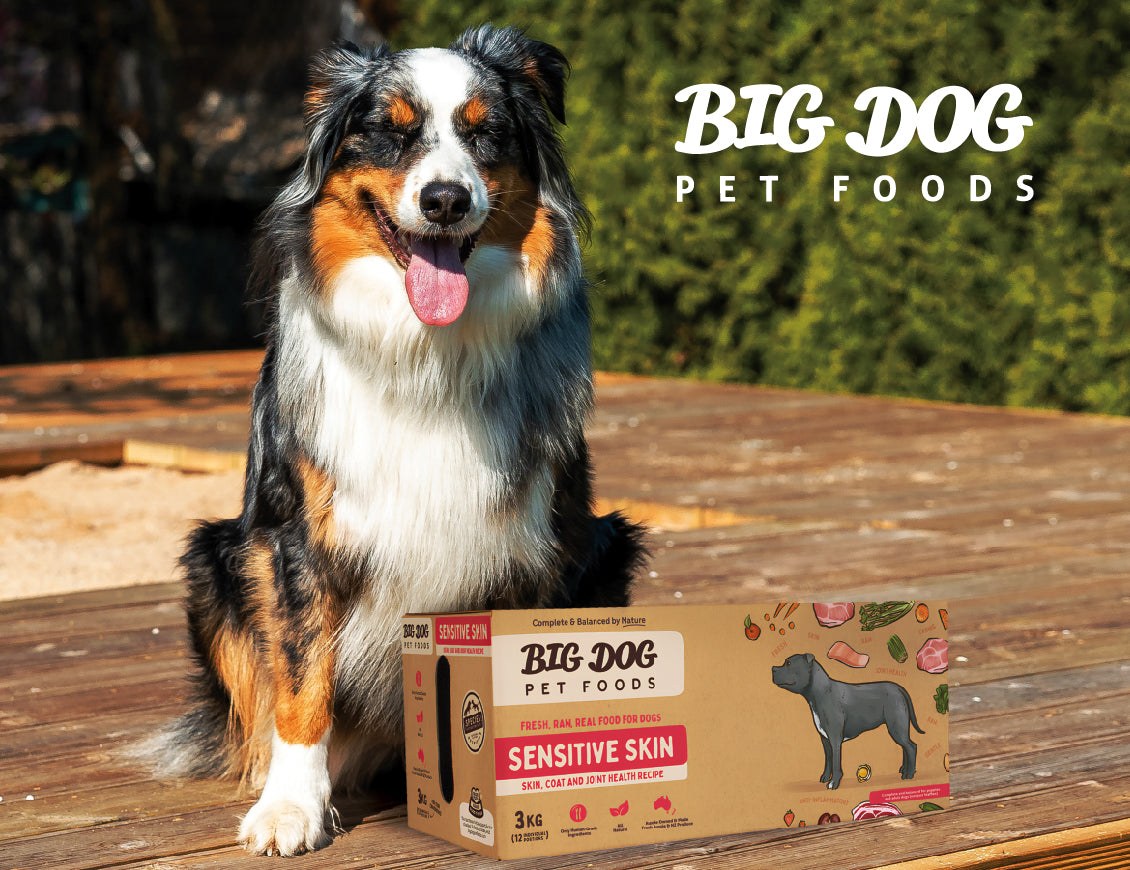 Pets' Station: lowest free-delivery bar at $55, and 8 stores with grooming