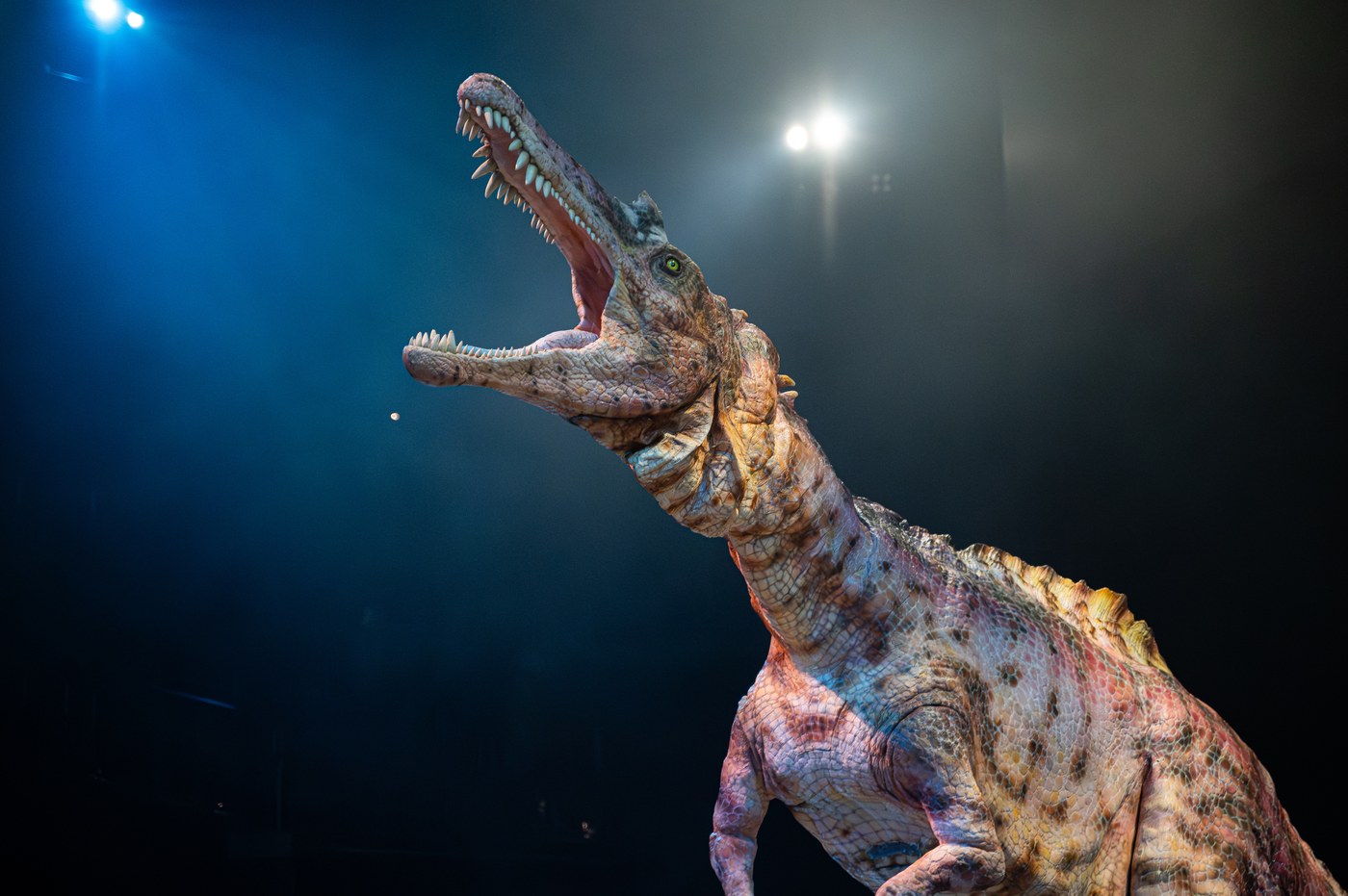 DINOSAUR ODYSSEY show scene: a life-sized Tyrannosaurus Rex on stage with dramatic lighting, performing close to the audience.