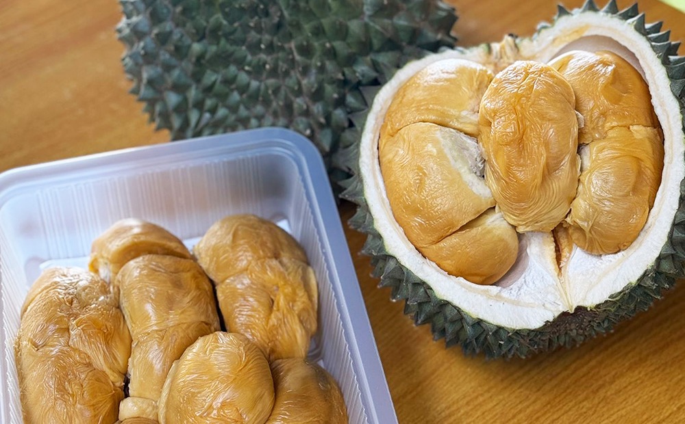 黑刺 (Ochee):行家的奢华之选