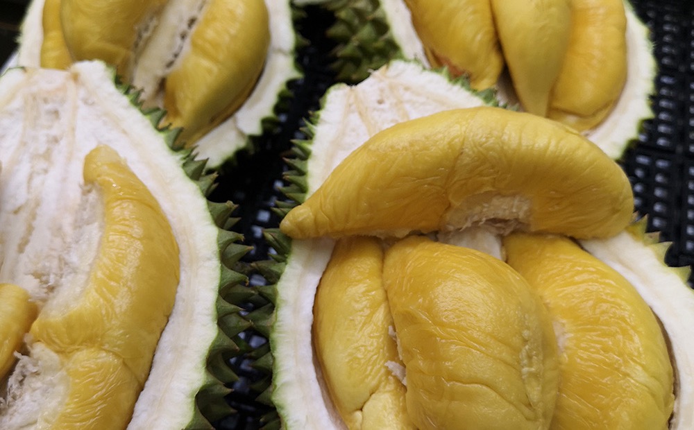 猫山王 (Musang King):榴莲之王