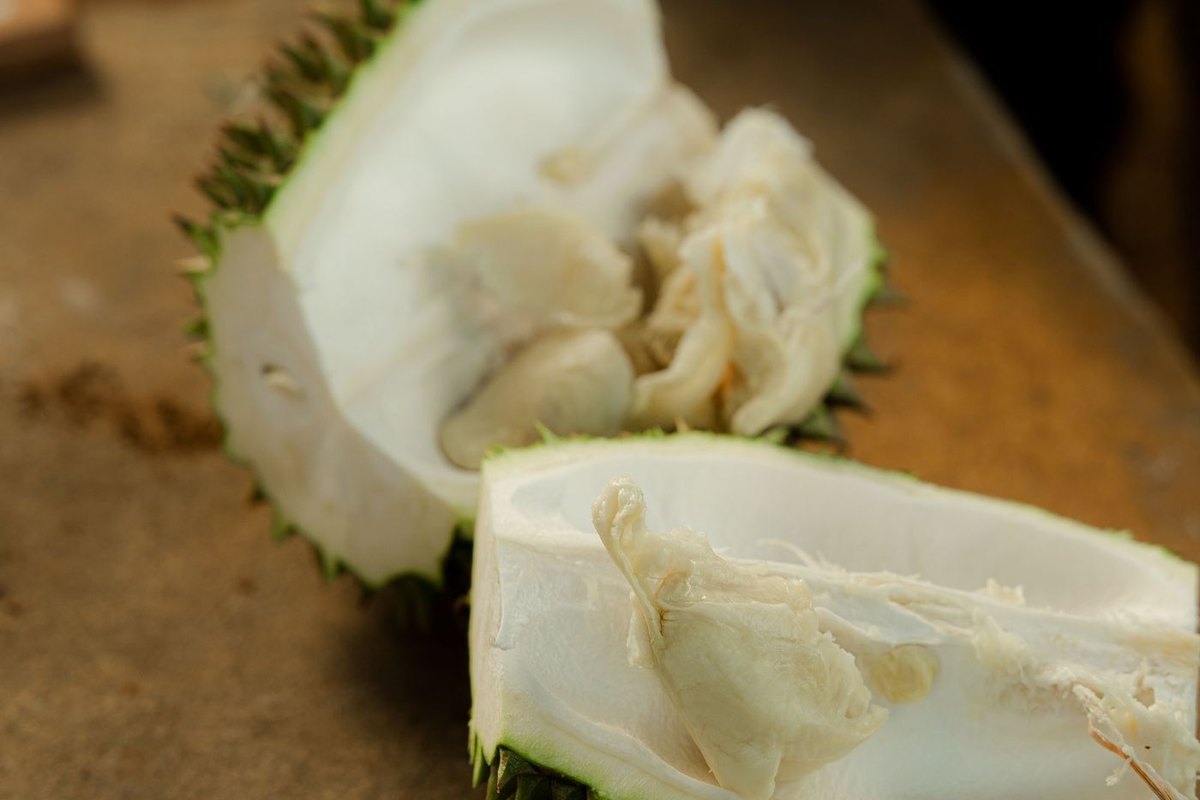 猫山王(Musang King)— 榴莲之王