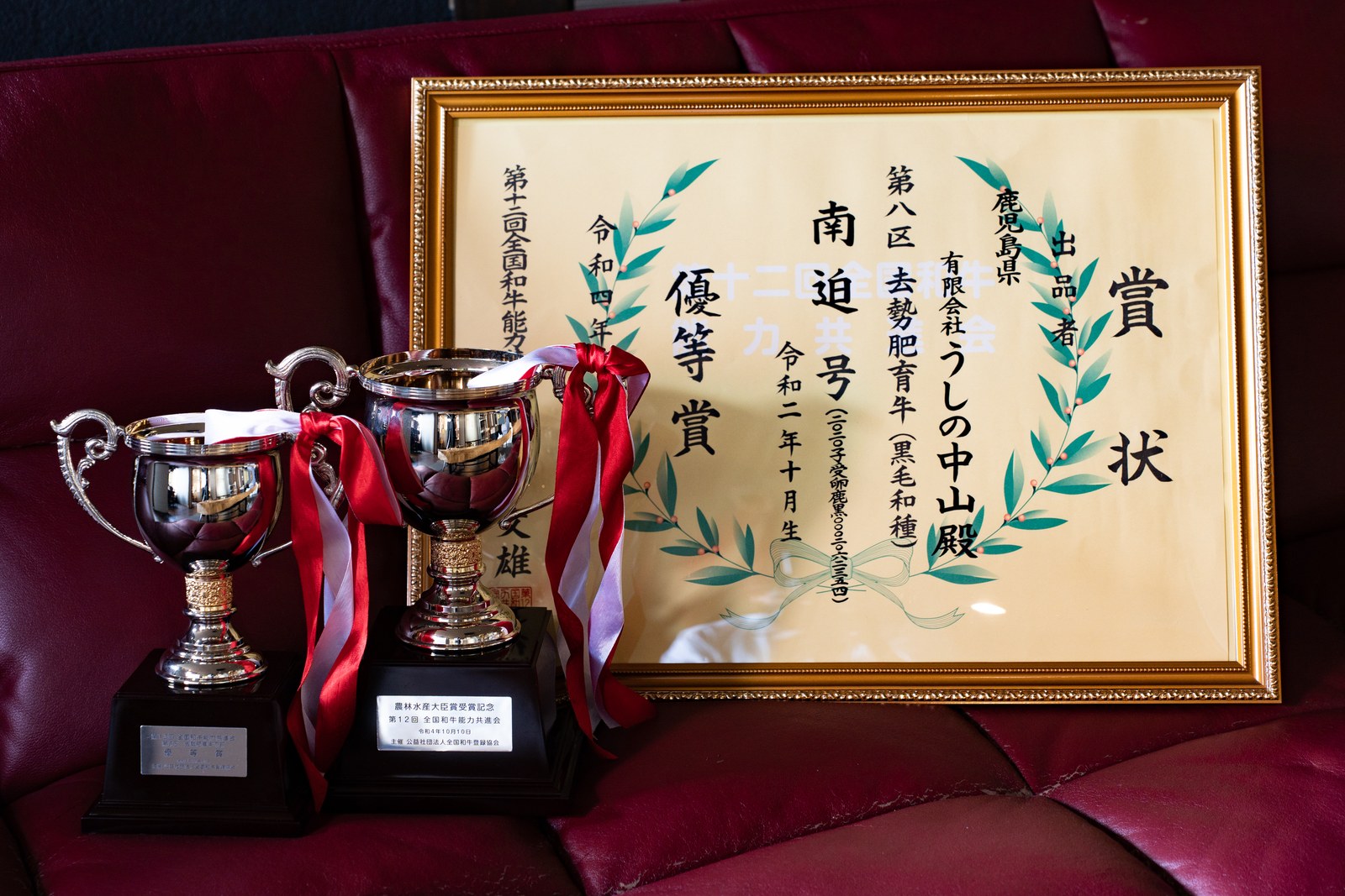 Two silver trophies with red-and-white ribbon decorations sit in front of a Japanese award certificate framed in gold. The certificate is hand-calligraphed in vertical Japanese characters and references Kagoshima Prefecture (鹿児島県) + Nakayama (中山) producer name, dating from Reiwa era. Background is rich red leather upholstery.