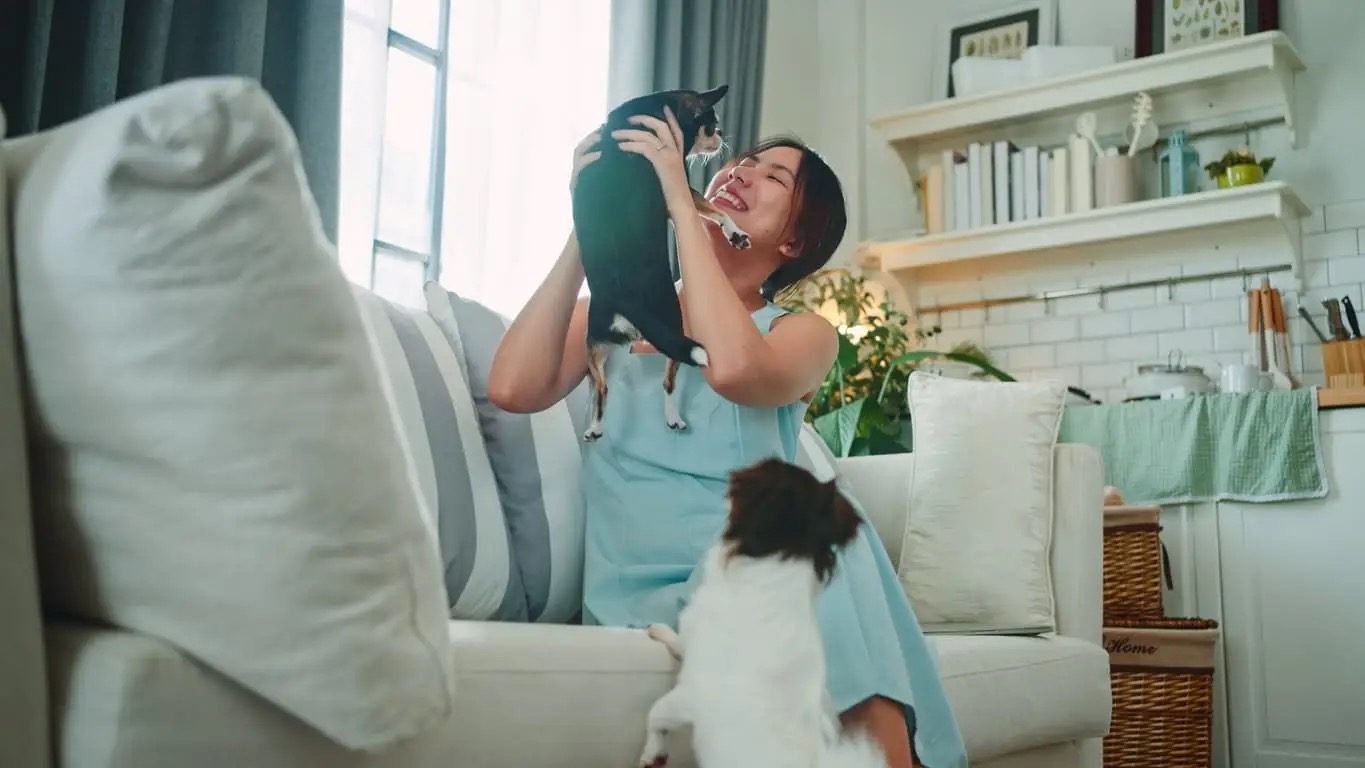 Happy Tails Pet Insurance (Income, arranged by Aon)