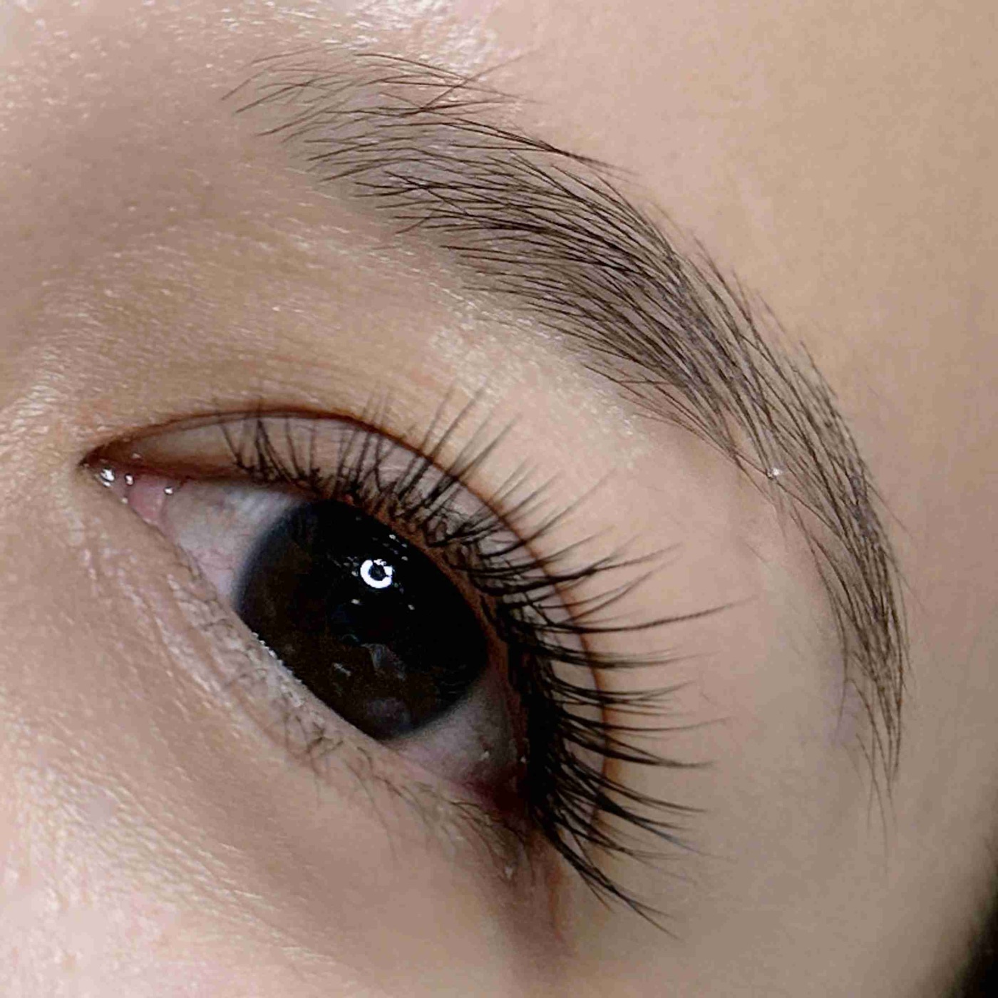 LashMagic by Carragheen: every trial is exactly 30% off, and so is every refill