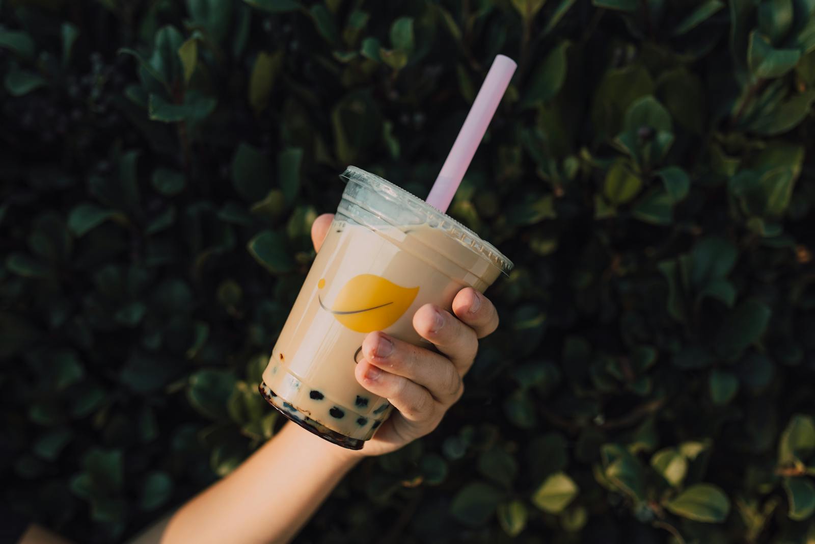 LiHO TEA