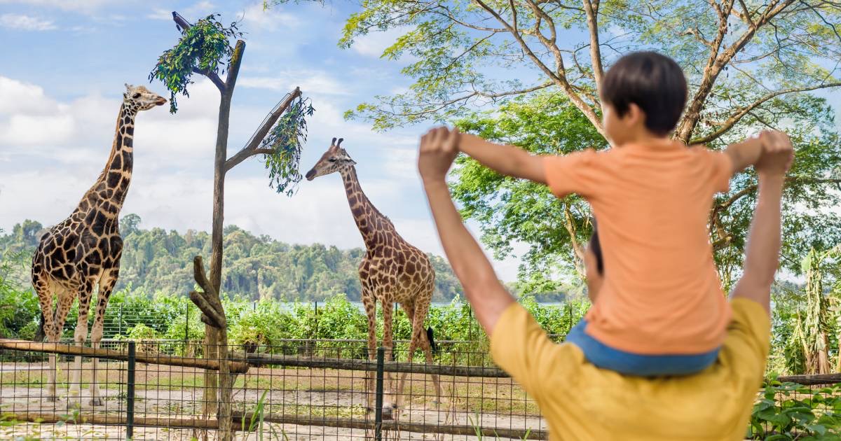 Mandai 30% Off All Seven Parks to 31 Mar 2027, Weekdays Only