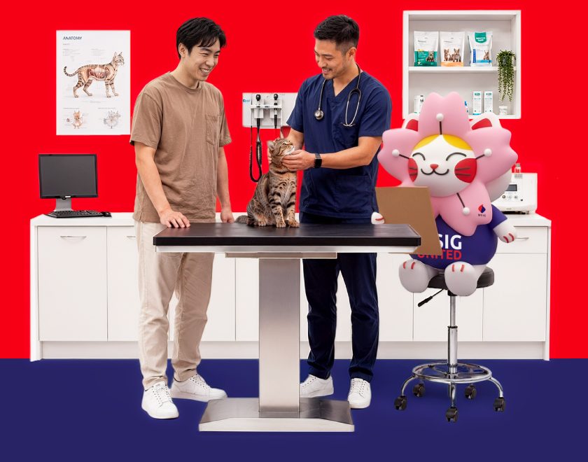 MSIG PawEasy