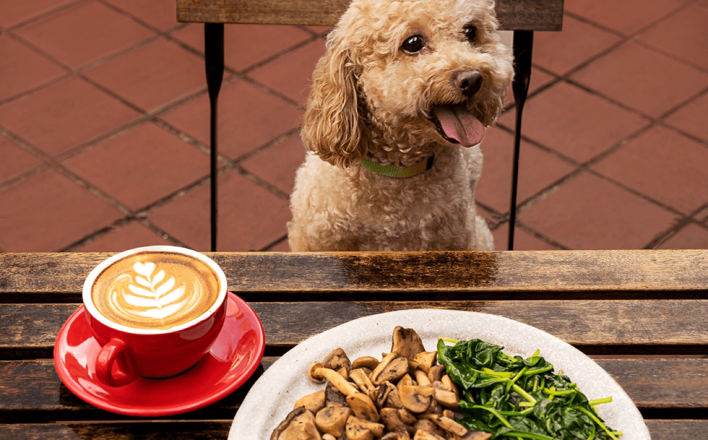 Sarnies, Telok Ayer (CBD Specialty Coffee + Brunch)