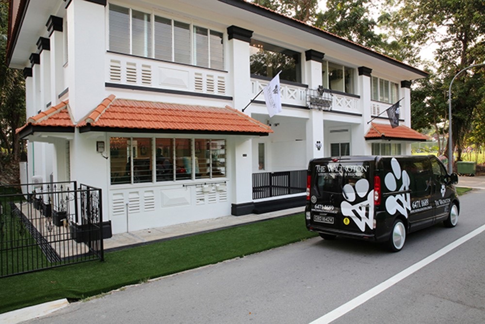 Wagington Luxury Pet Hotel: Suite-Style Boarding, Dogs from S$98 and Cats from S$28
